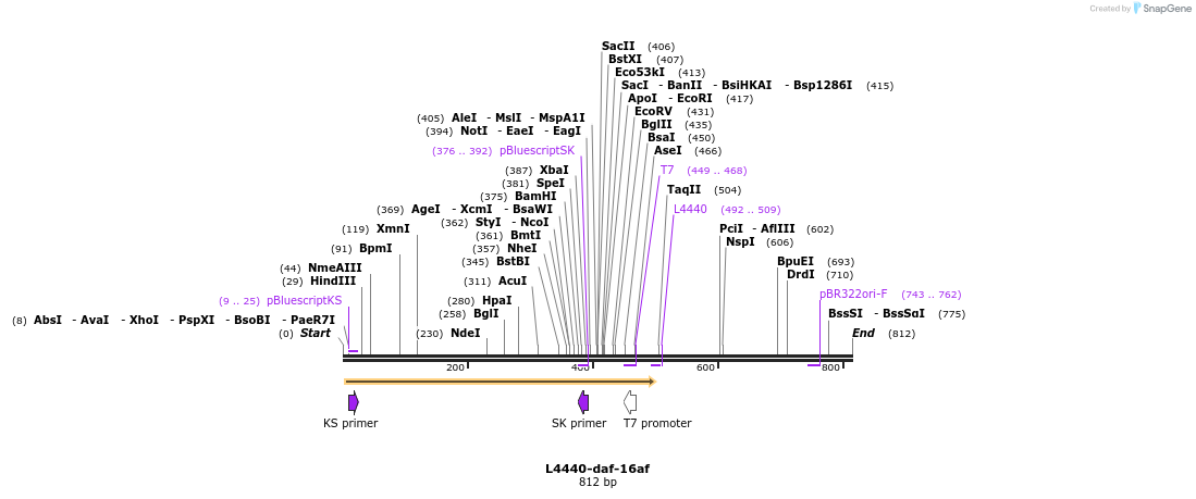 38005_map