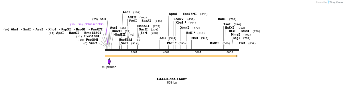 38006_map