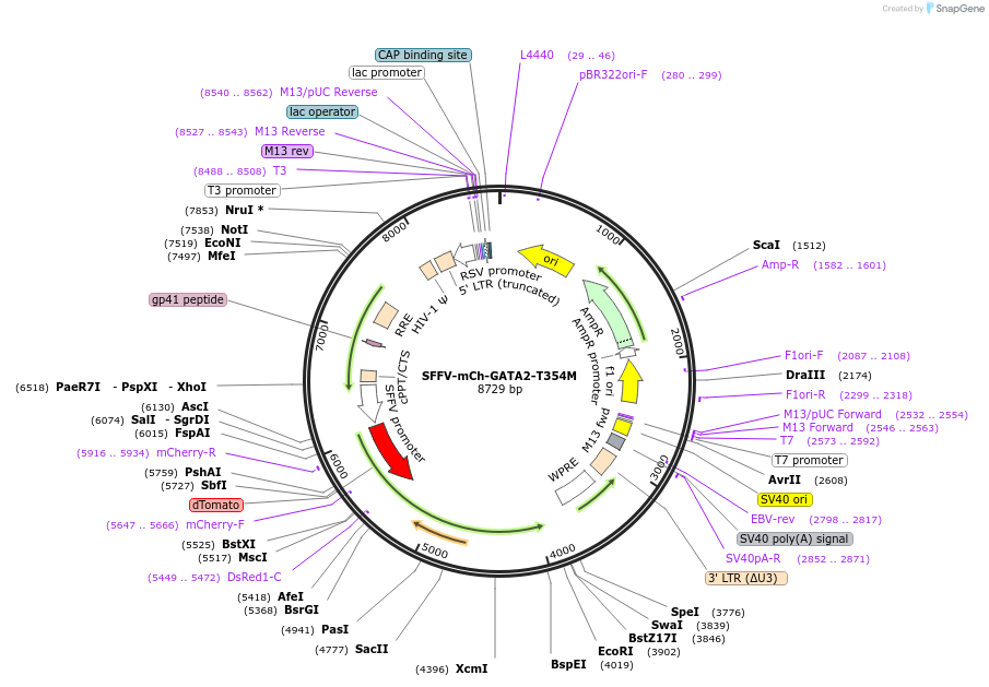 380074_map