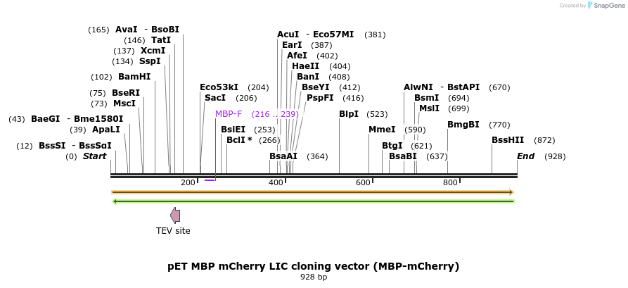 38009_map