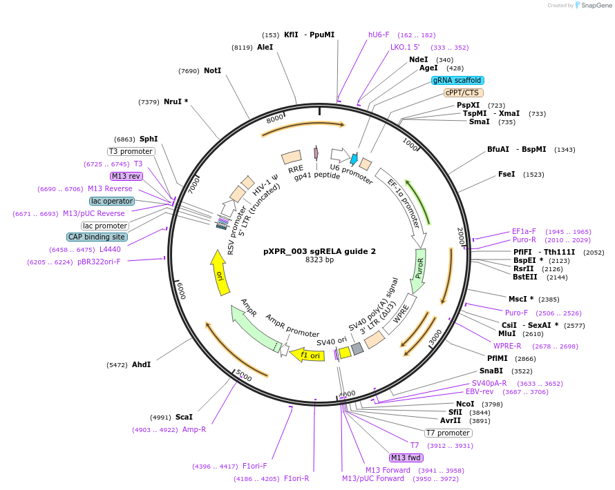 380093_map