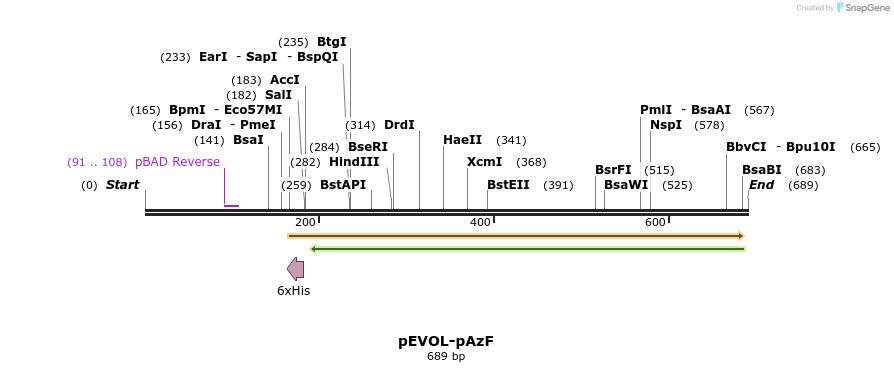 38011_map