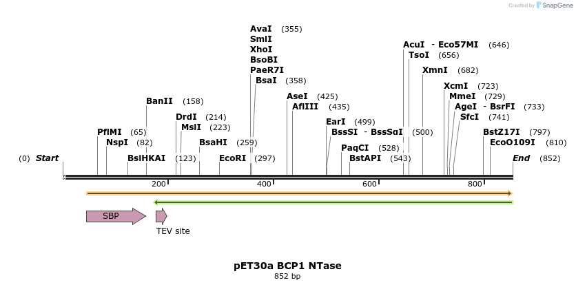 380114_map