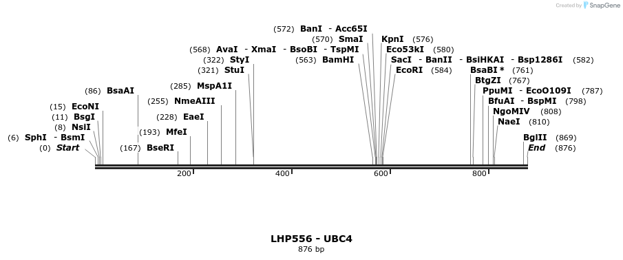 38012_map