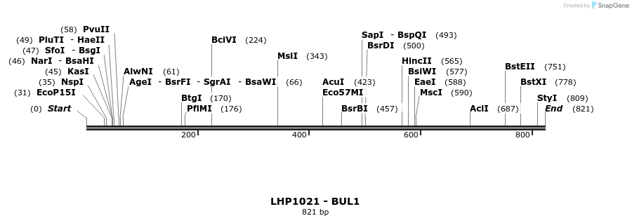 38013_map