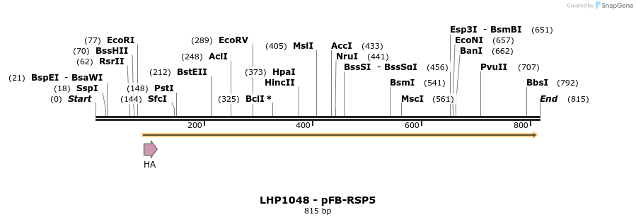 38014_map