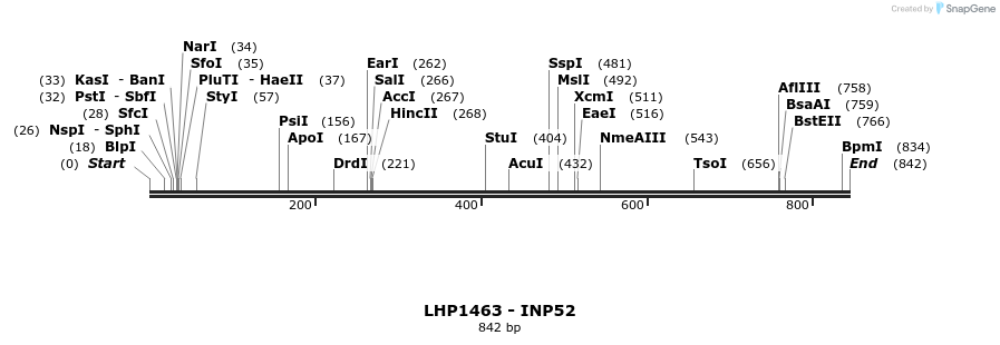 38016_map