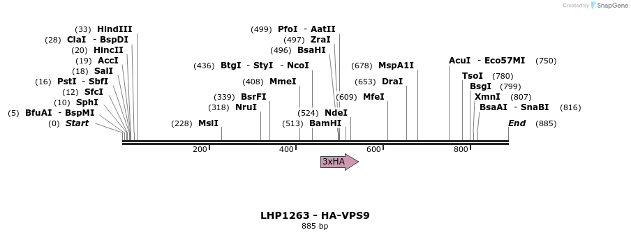 38017_map