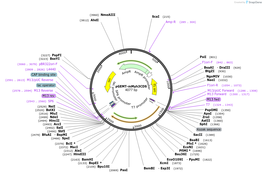 380192_map