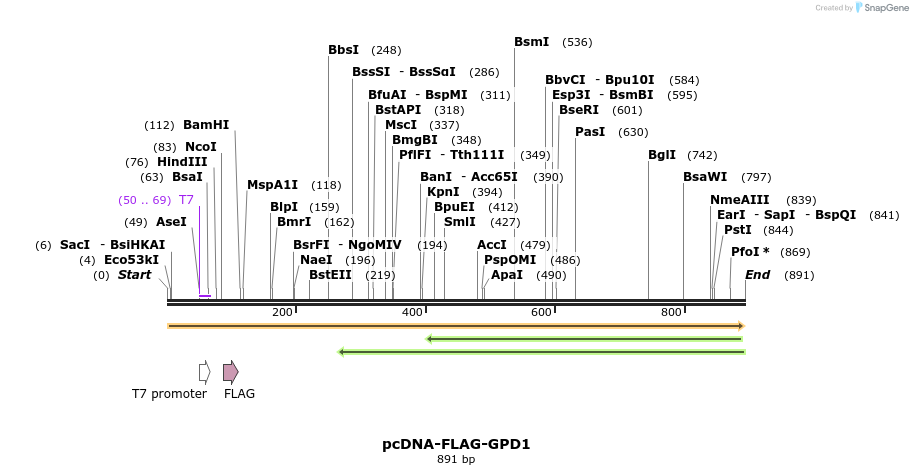 38020_map
