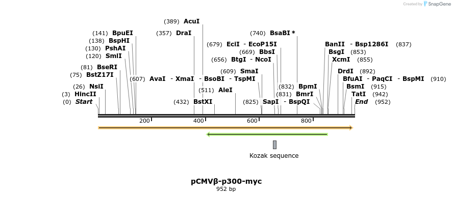 38021_map