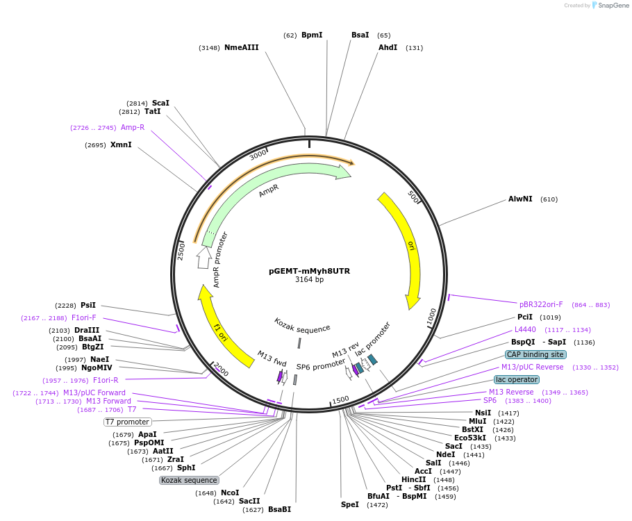 380212_map