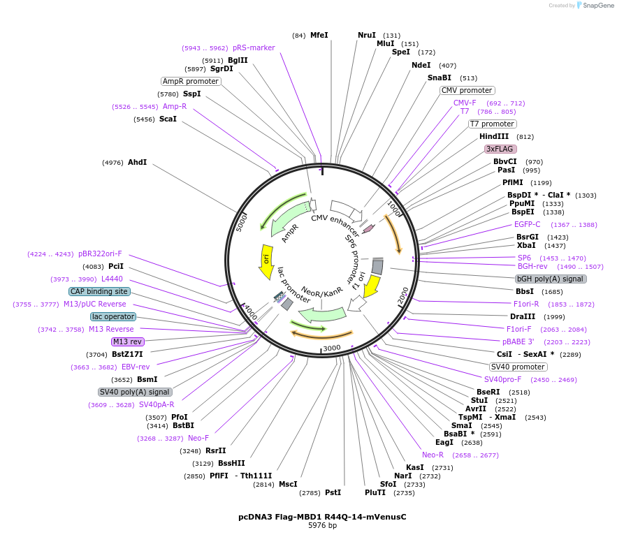 380217_map