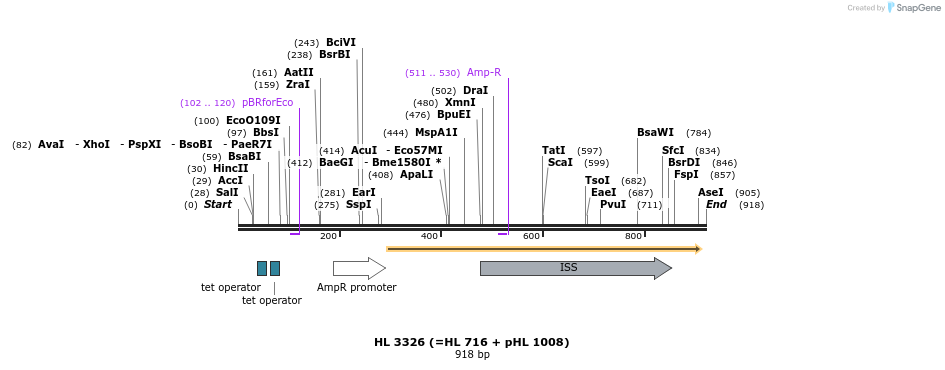 38028_map