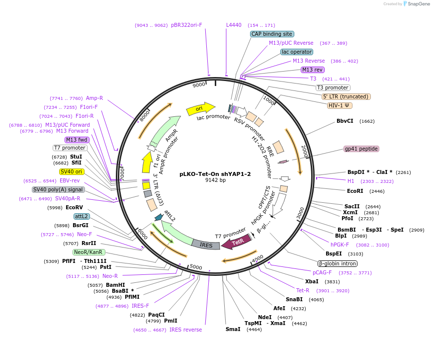 380289_map