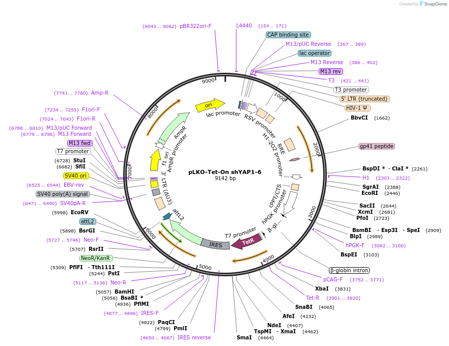 380291_map