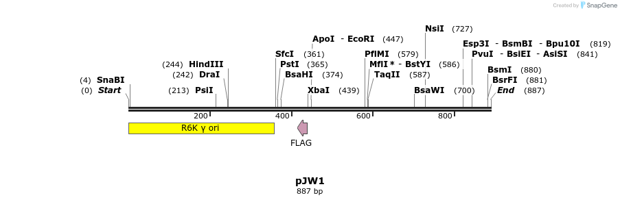 38035_map