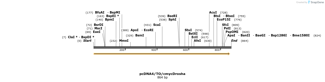 38042_map