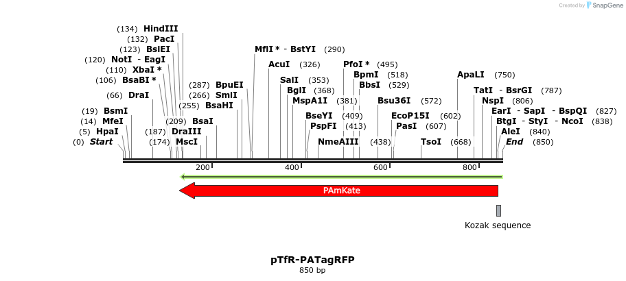 38043_map