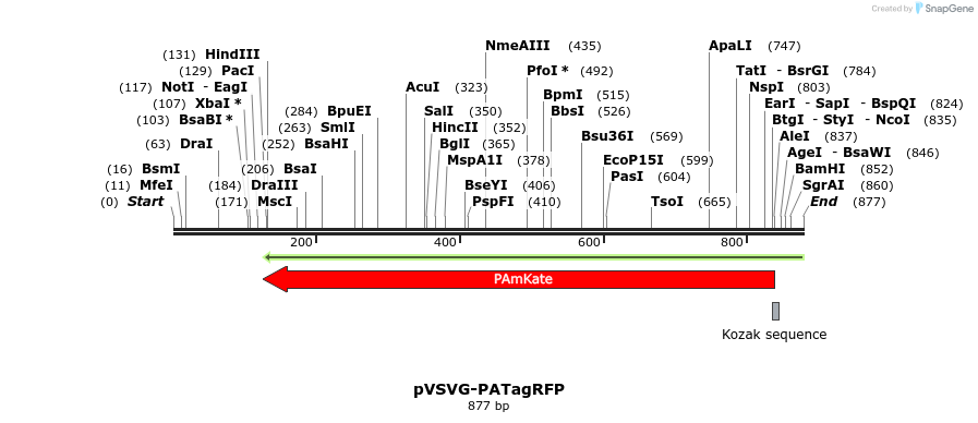 38044_map
