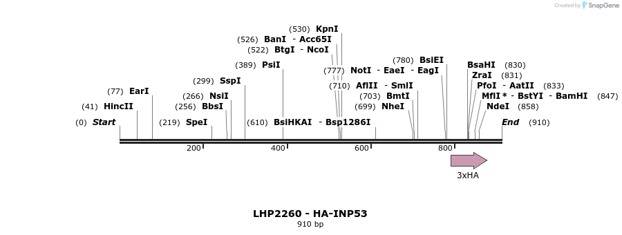 38049_map