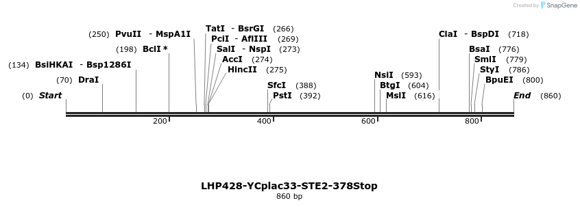 38051_map