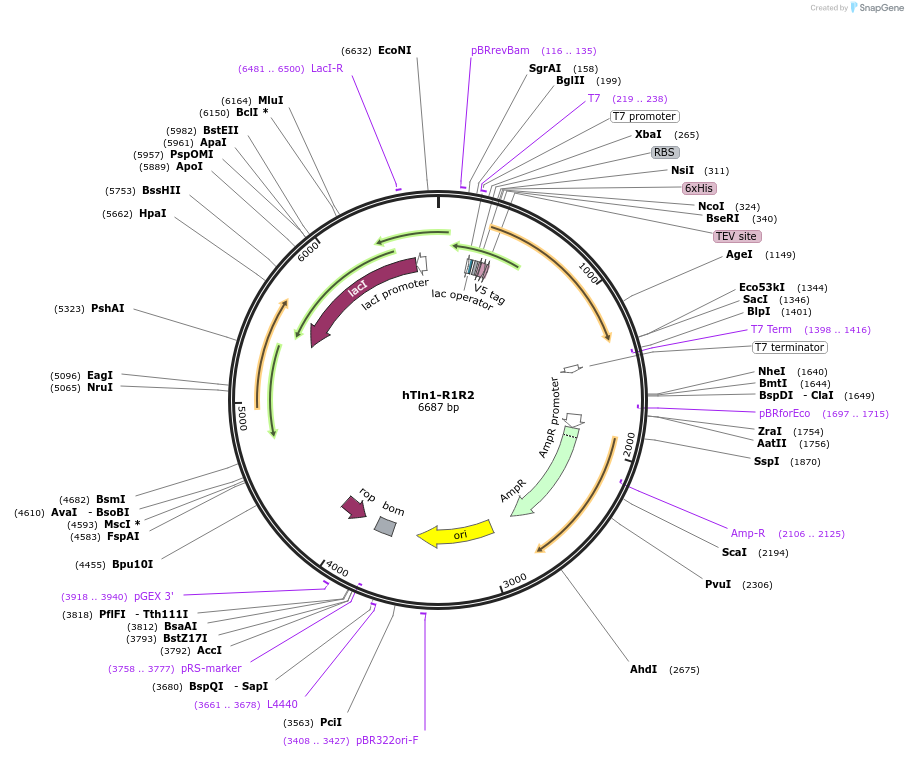 380512_map