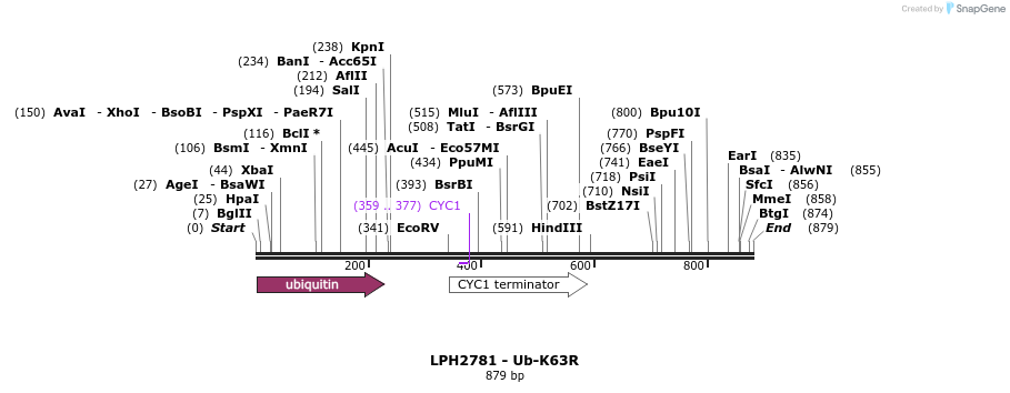 38053_map
