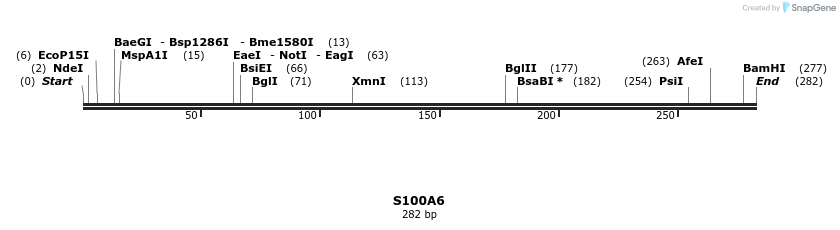 380570_map