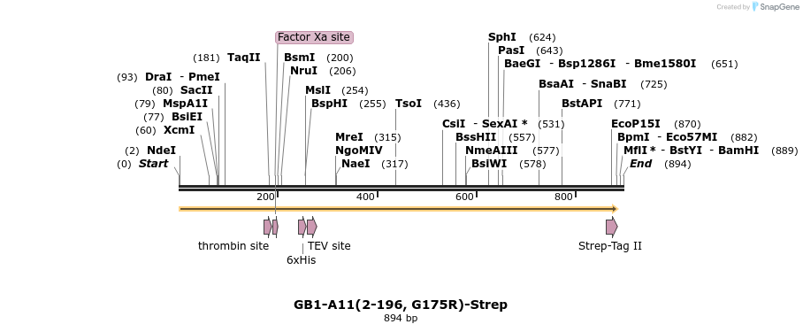 380578_map
