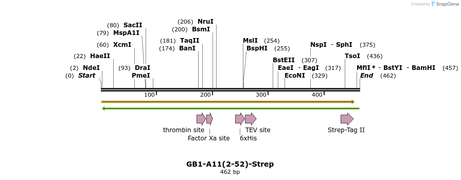 380582_map