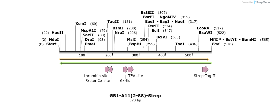380584_map