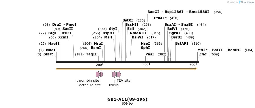 380586_map