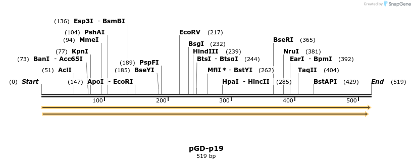 380637_map
