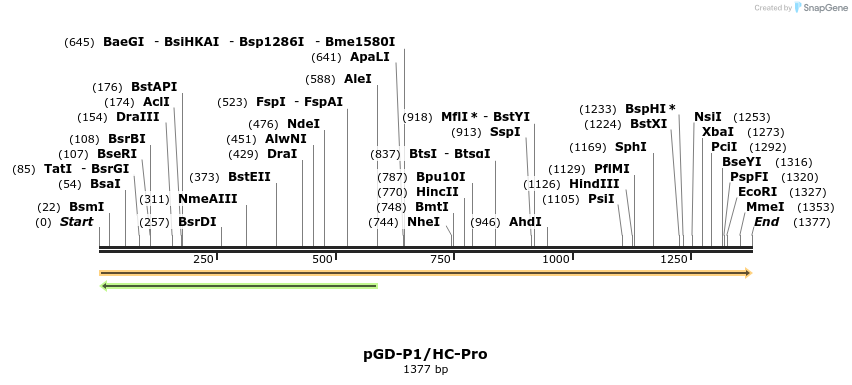 380639_map