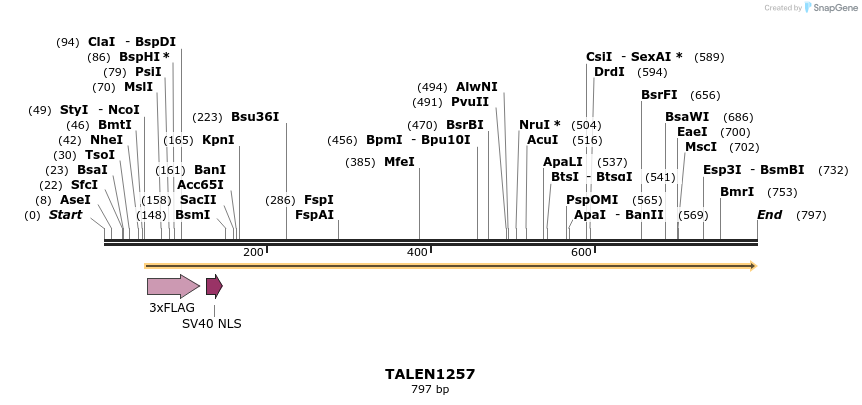38067_map