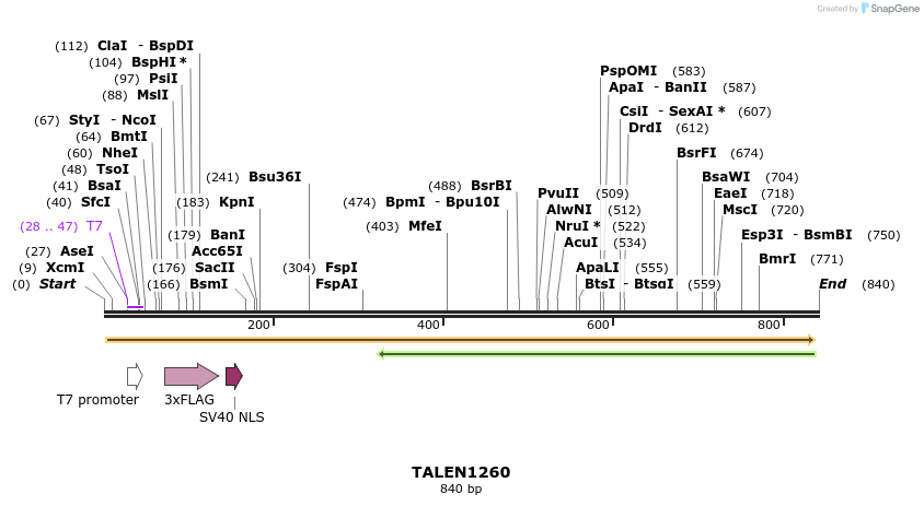 38069_map