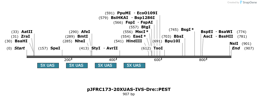 38070_map