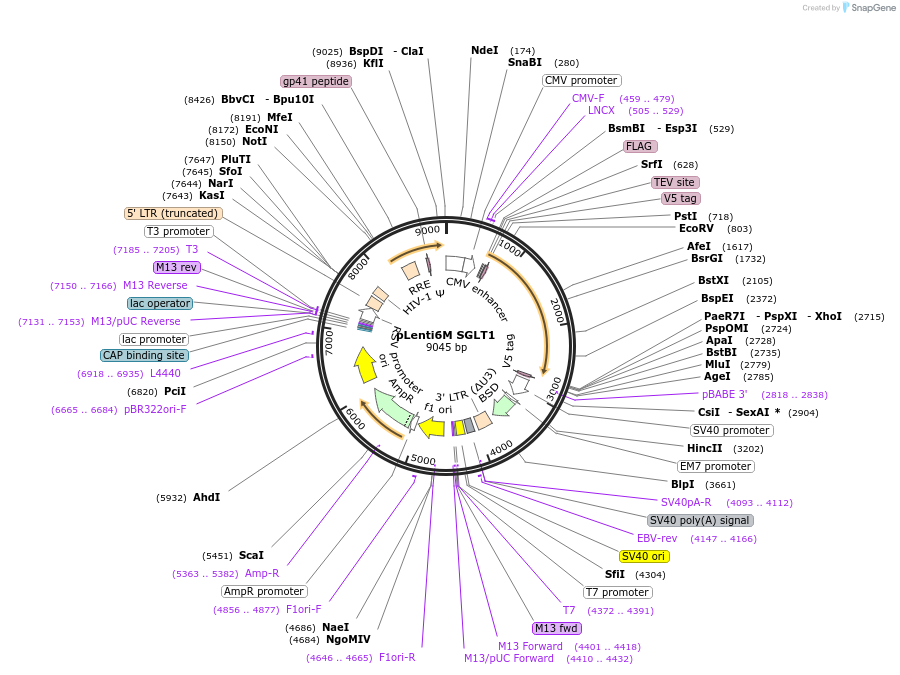 380701_map