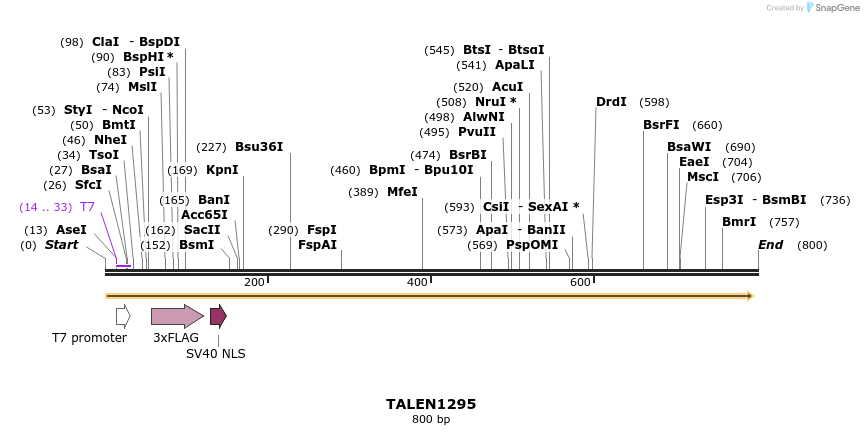 38071_map