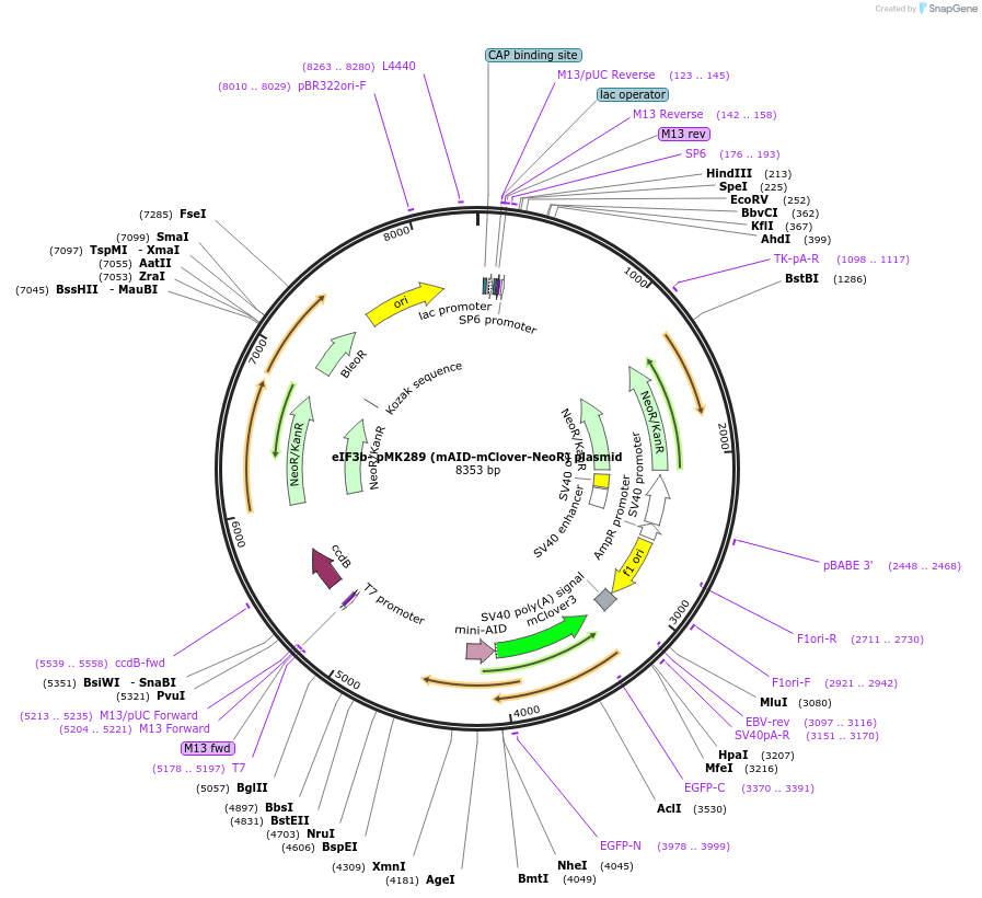 380718_map