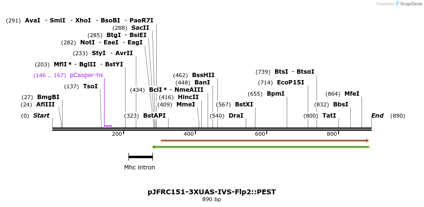 38076_map