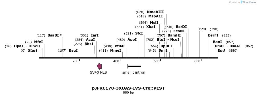 38078_map