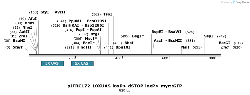 38079_map