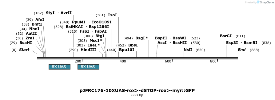 38080_map