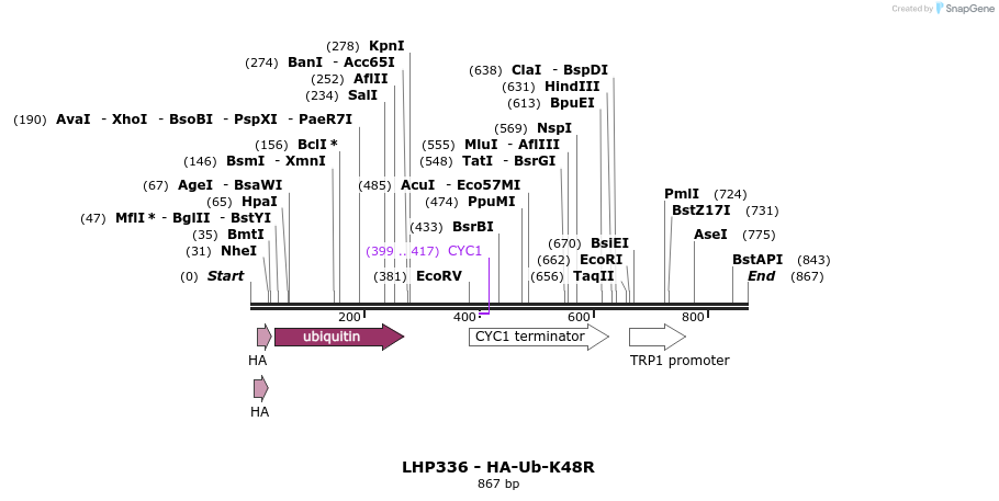 38094_map