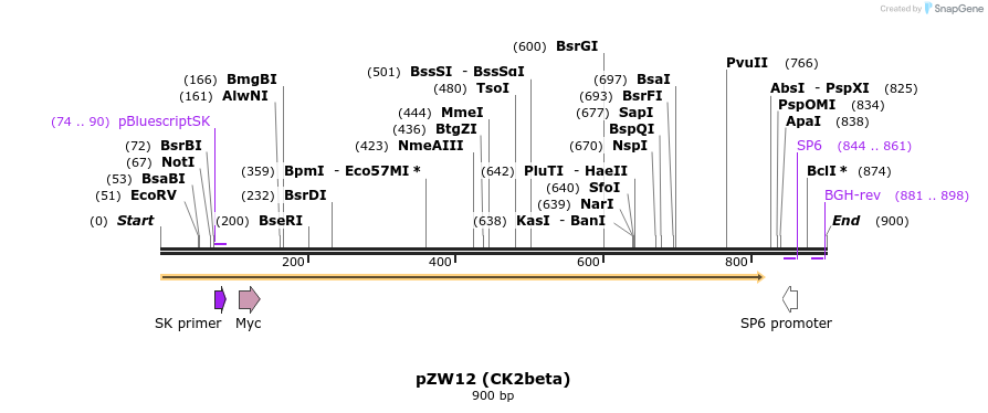 38098_map