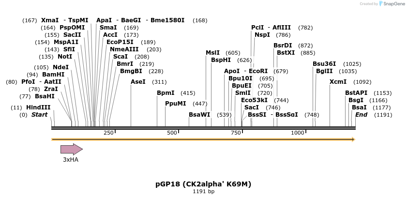 38100_map