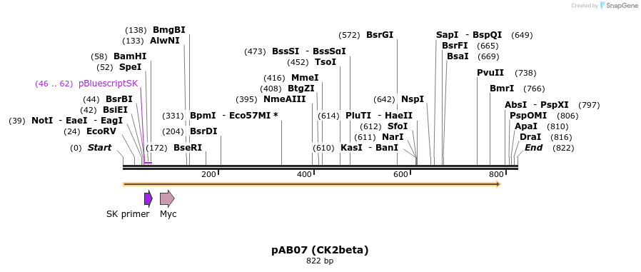 38101_map