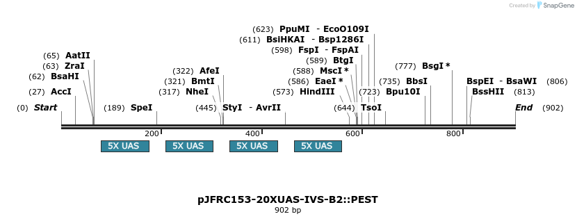 38106_map